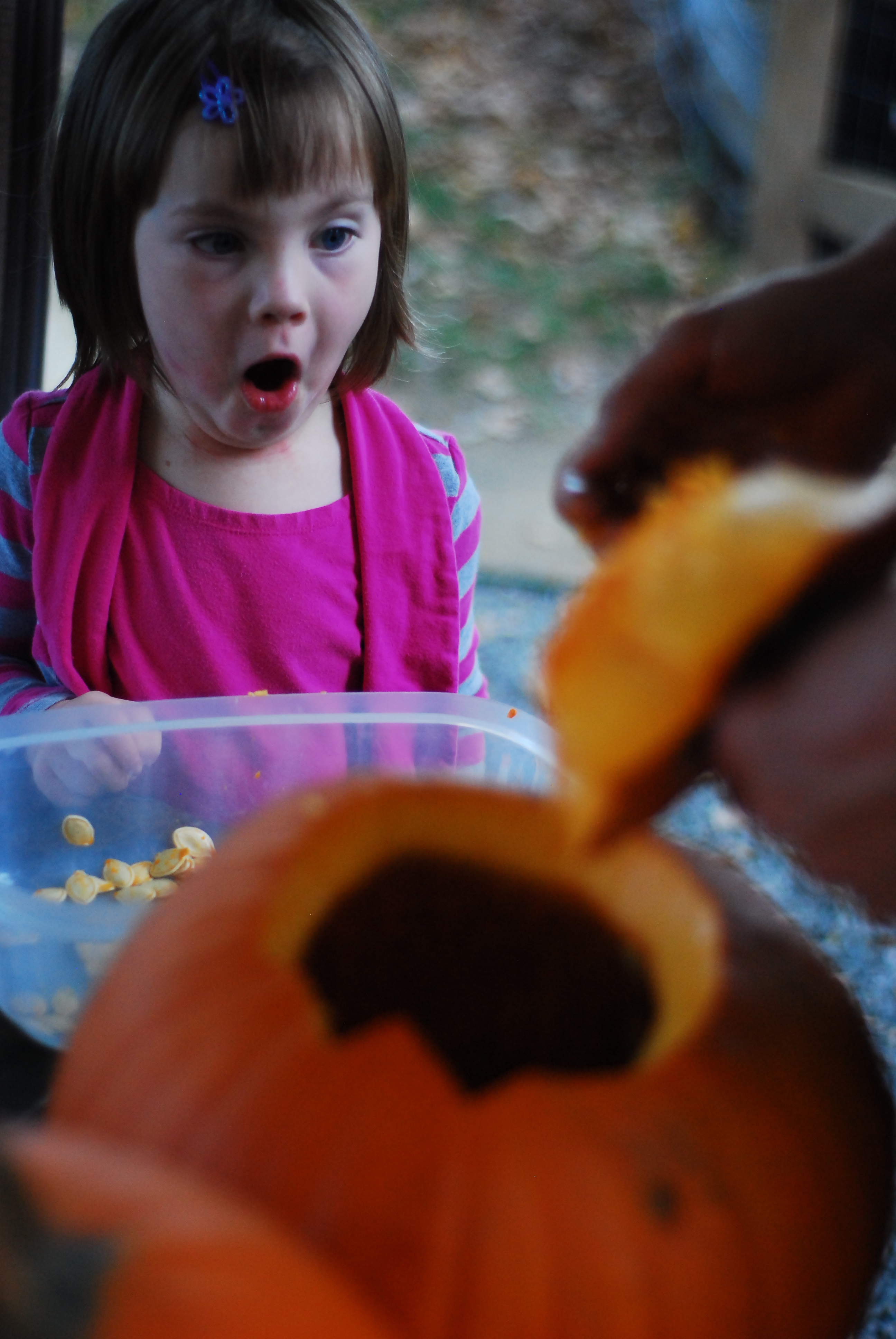 Young child shocked at the slimy job of cleaning innards from pumpkin