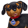 Pumpernickel - Promise Pets™ Dachshund